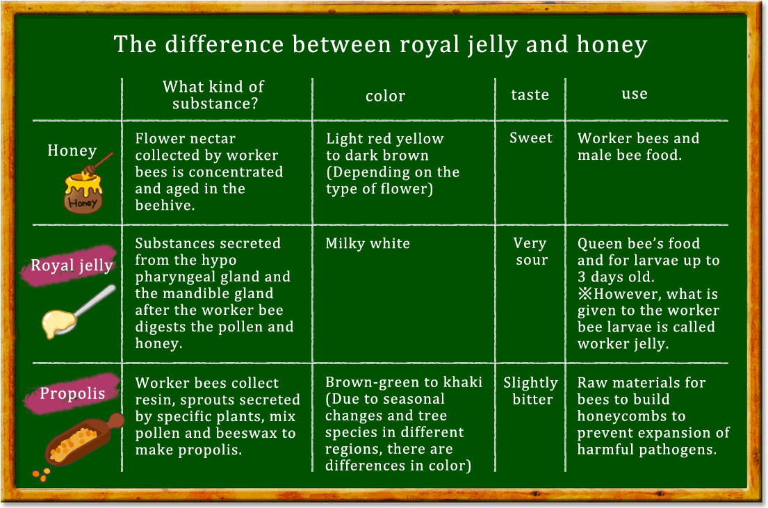 The difference between royal jelly and honey