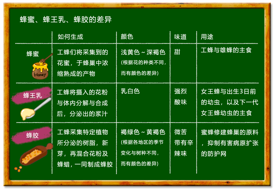 蜂蜜、蜂王乳、蜂胶的差异