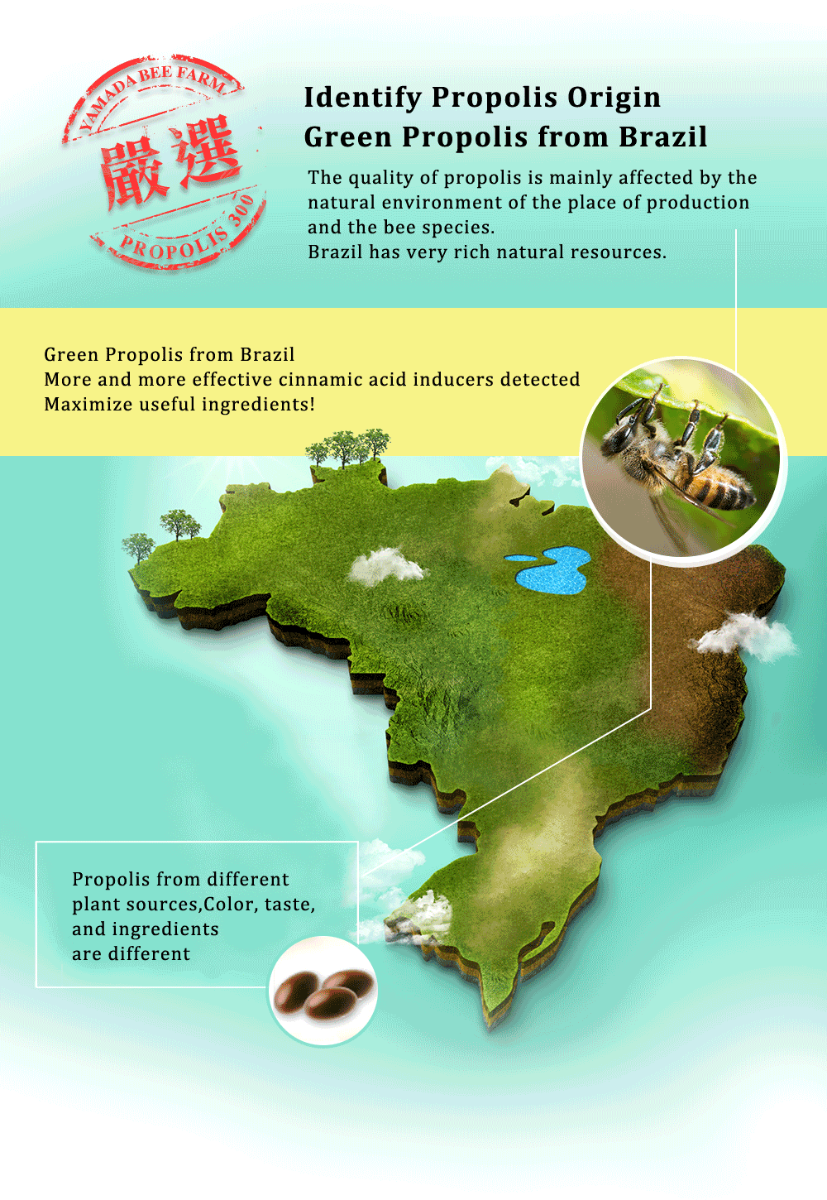 Green Propolis from Brazil