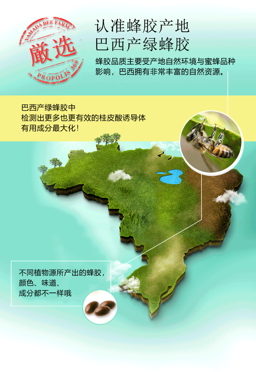 巴西产绿蜂胶